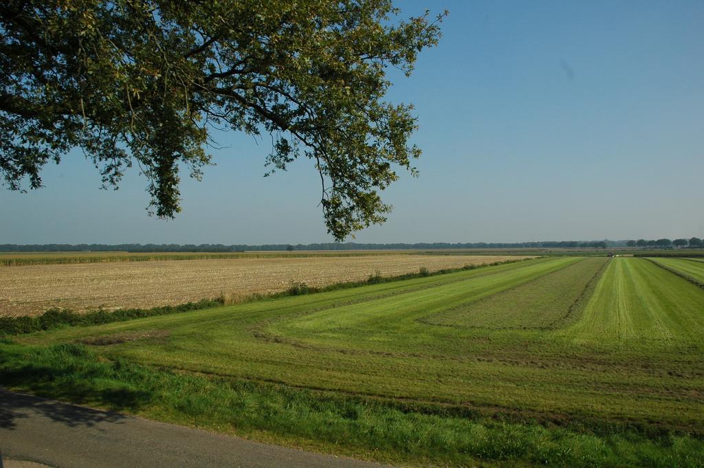 Bed and Breakfast Huize Ouwervelden Wouwsche Plantage Zewnętrze zdjęcie